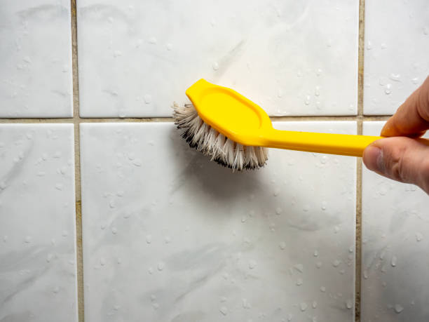 Best Residential Mold Remediation in Oak Grove, AL