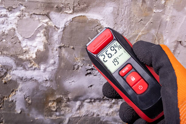 Best Mold Testing and Inspection Services in Oak Grove, AL